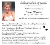 eine Anzeige