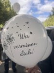 ein Bild aus dem Album