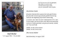eine Anzeige